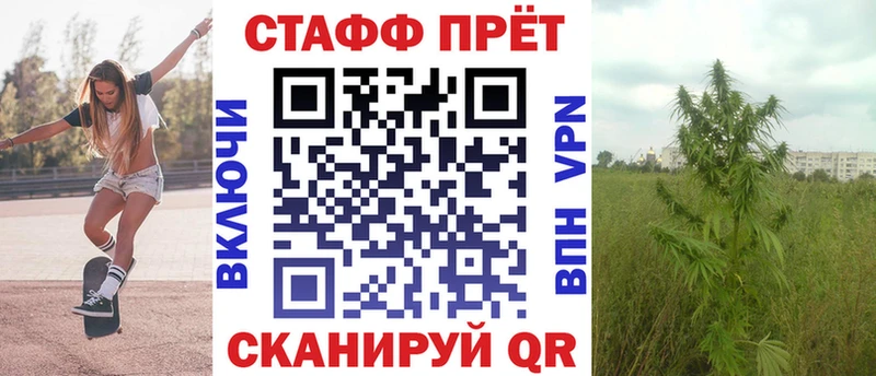 Где купить Луза COCAIN  МЕФ  Гашиш  ТГК  Бошки Шишки 