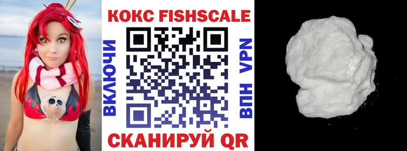 наркота Луза кракен ONION COCAIN Fish Scale