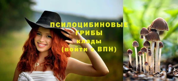 марки nbome Верхний Тагил