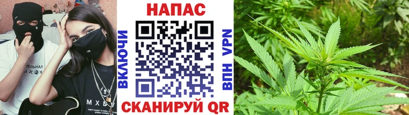 Бошки Шишки ГИДРОПОН  Луза 